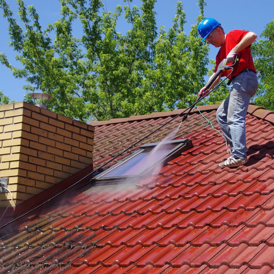 Through years of experience, we’ve developed highly effective methods for eliminating stubborn roof contaminants that plague Lowcountry homes.